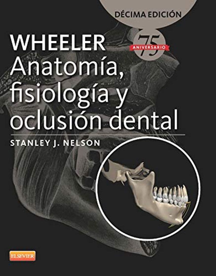 Book Wheeler. Anatomía, Fisiología Y Oclusión Dental - 10ª Edición