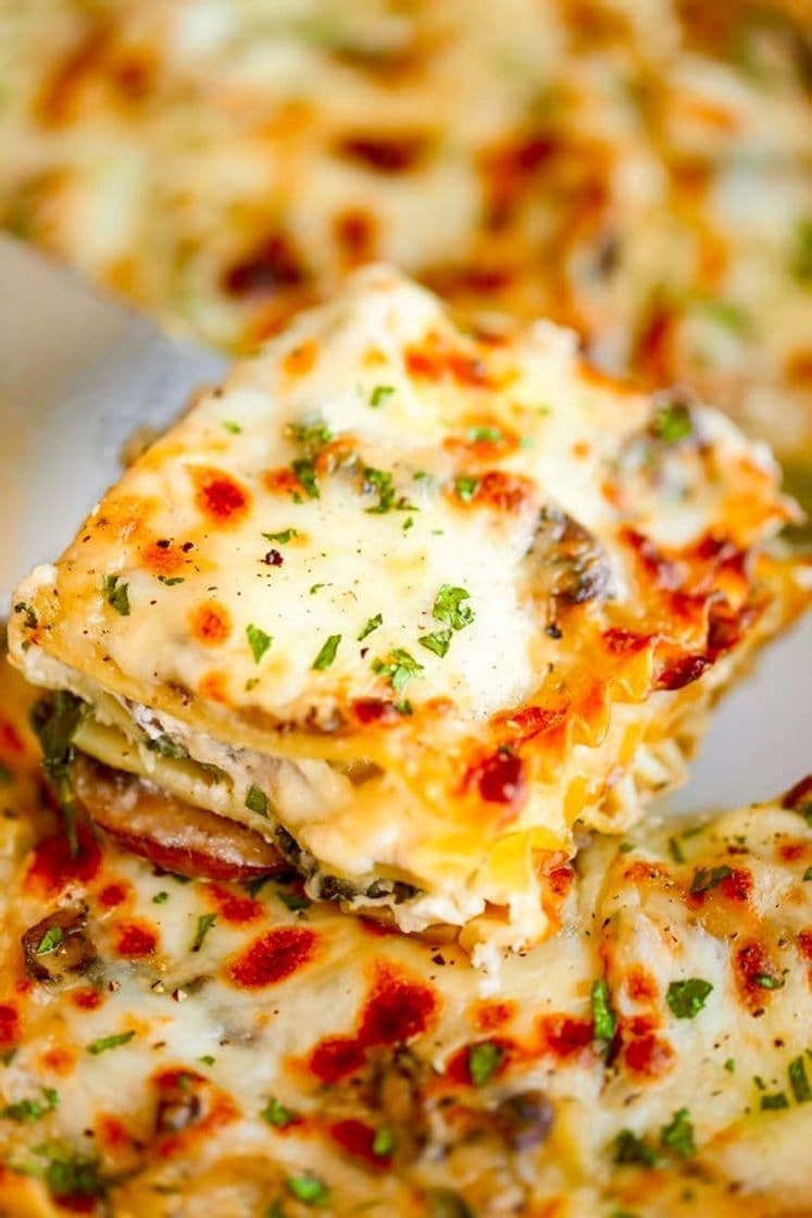 Producto Veggie lasagna 