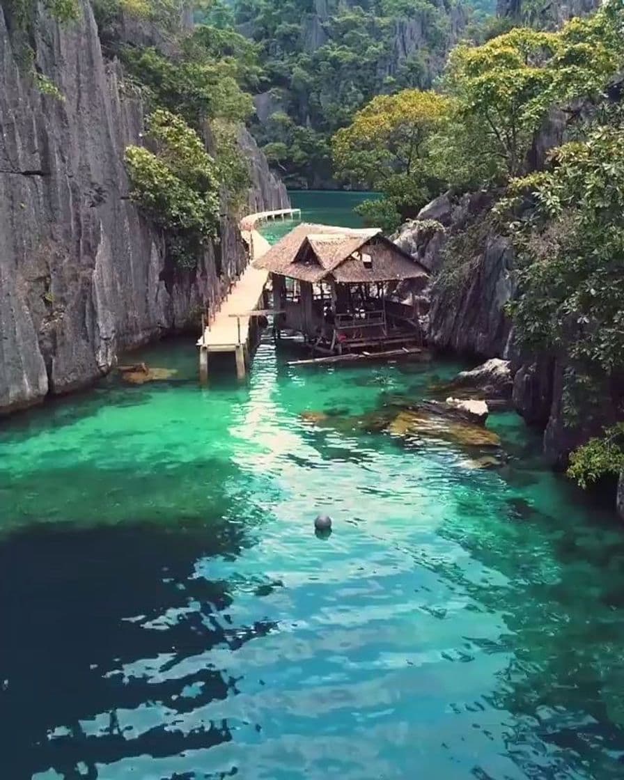 Place Coron Island