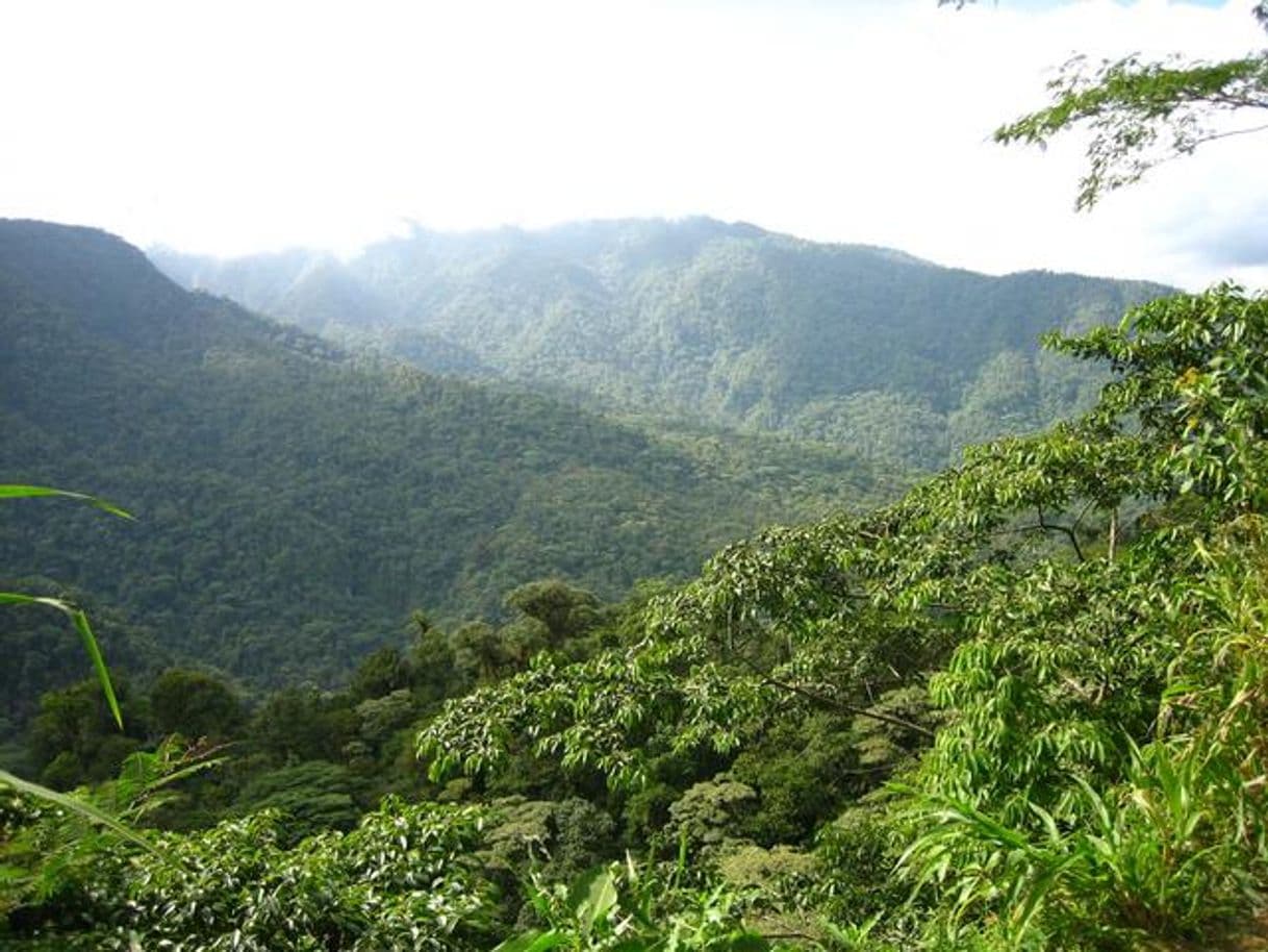 Place Parque Nacional Braulio Carrillo