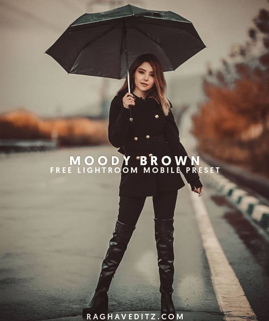 Fashion Moody brown