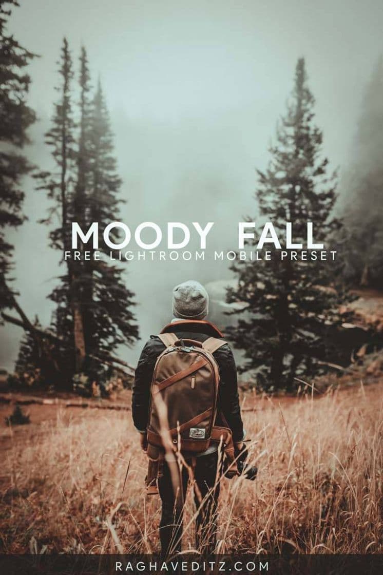 Moda Moody fall