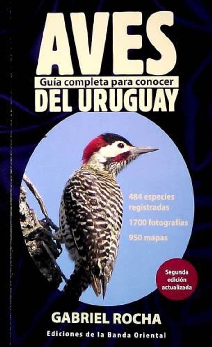 Fashion Aves del Uruguay