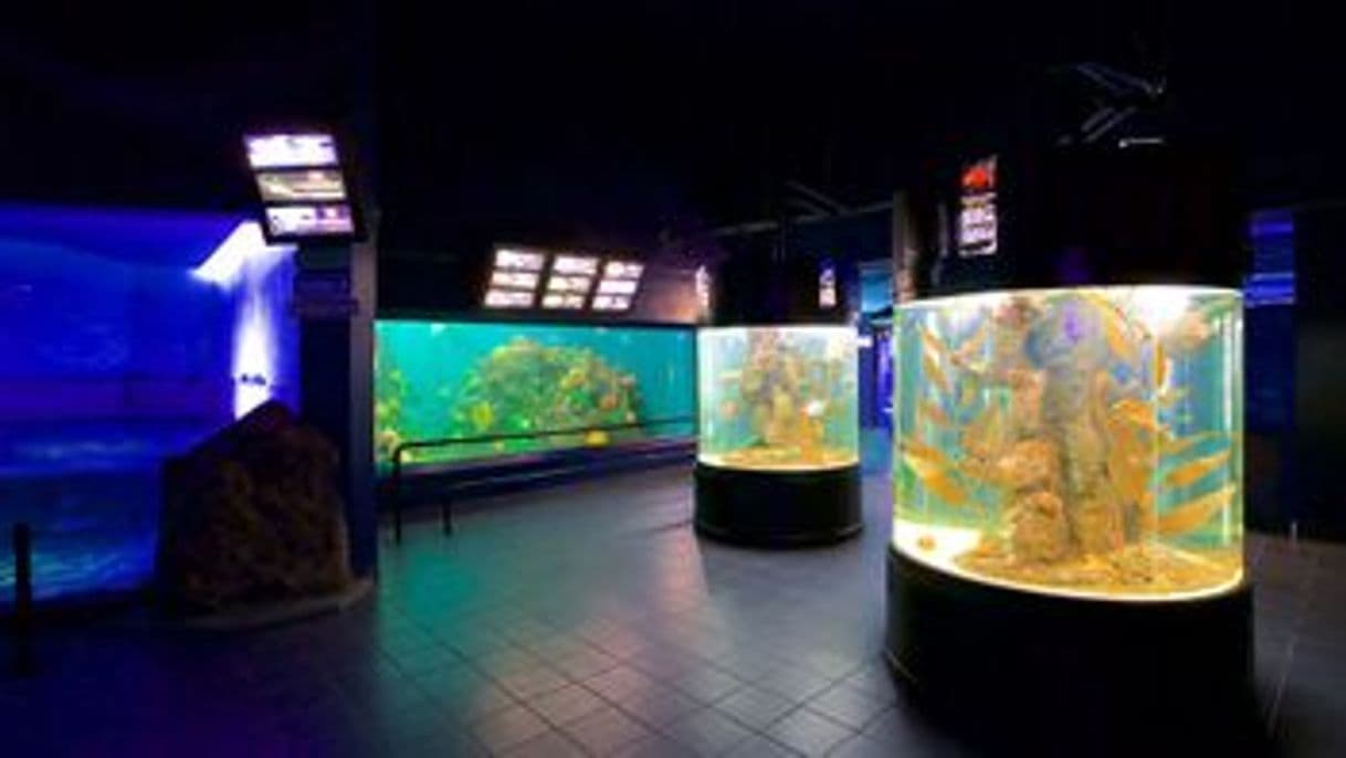 Lugar Acuario de Veracruz