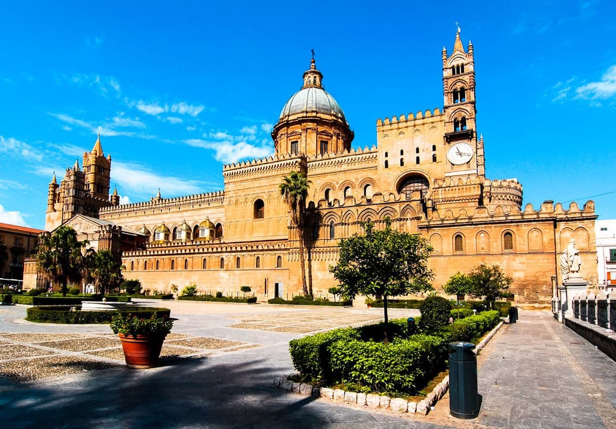 Place Catedral de Palermo