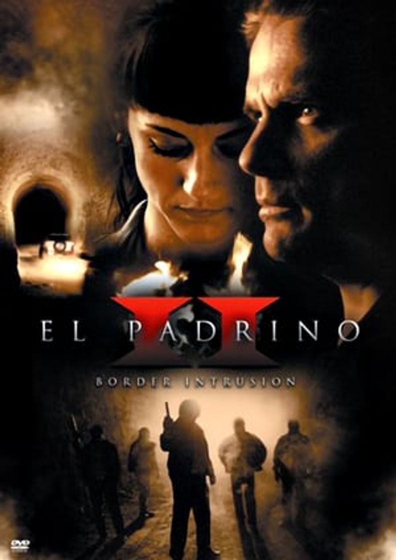 Película El padrino 2