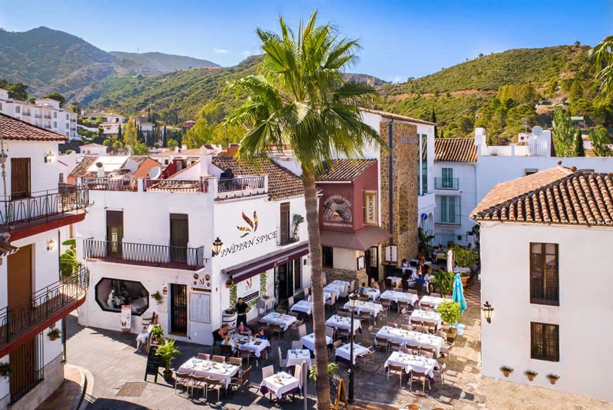 Restaurants Indian spice benahavis