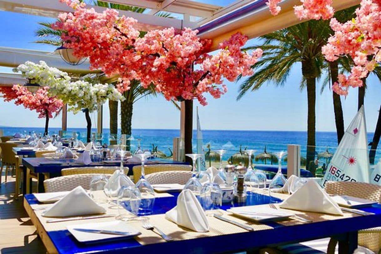 Restaurants The Harbour Bar and Restaurant Marbella