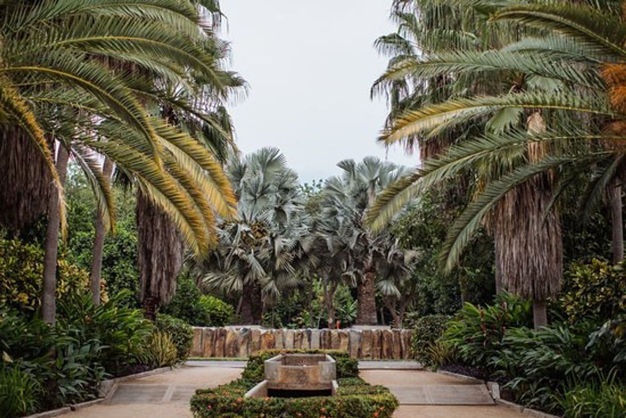 Lugar Jardín Botánico Culiacán