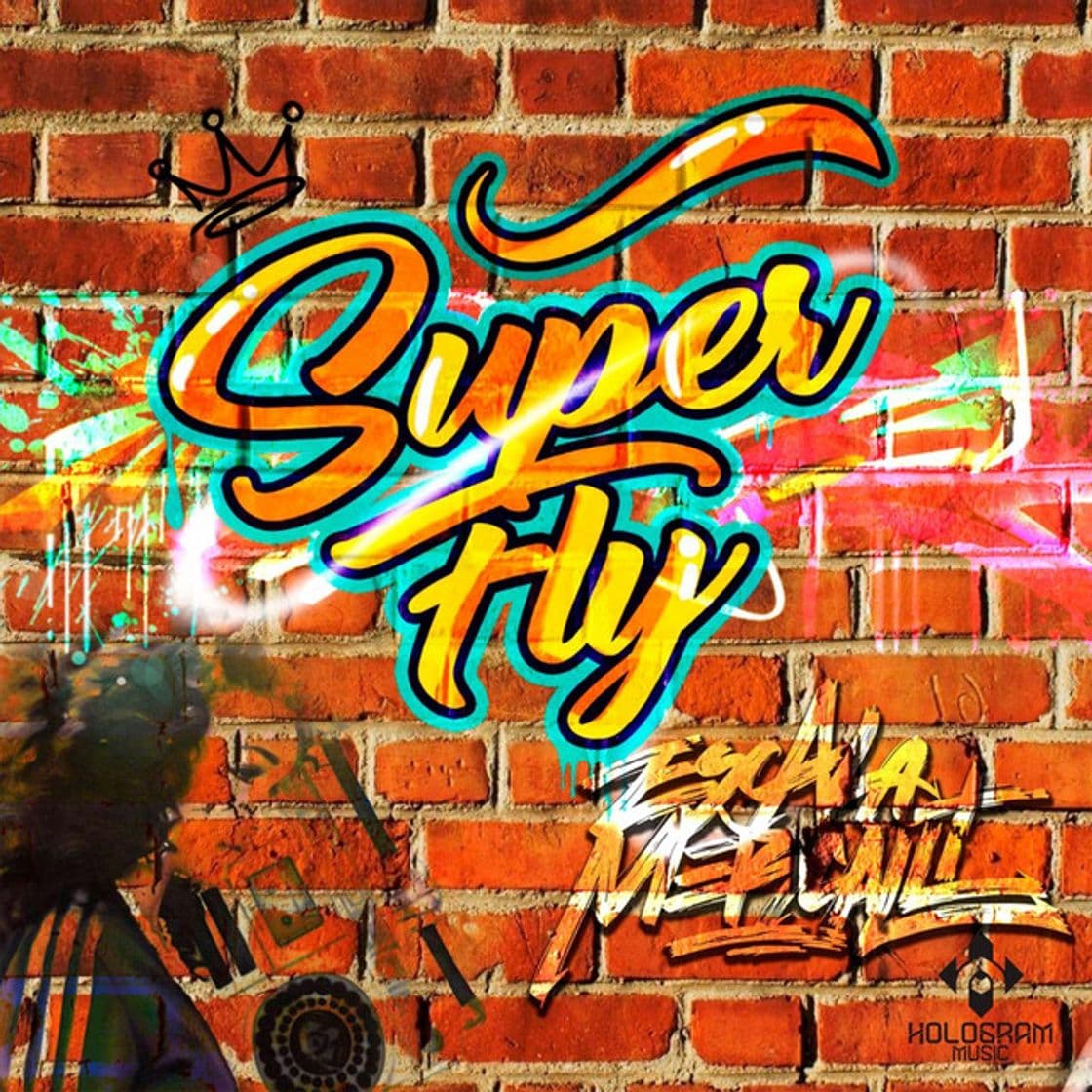 Canción Super Fly