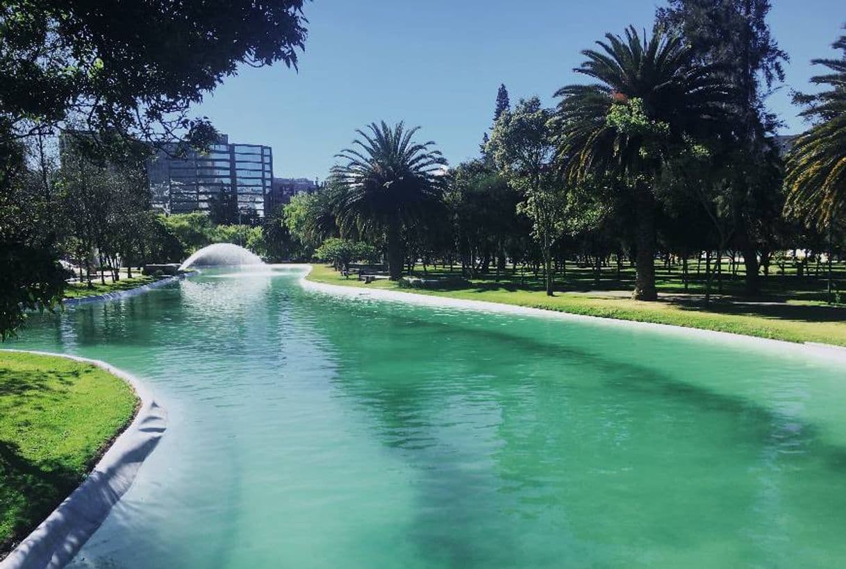 Place Parque La Carolina.