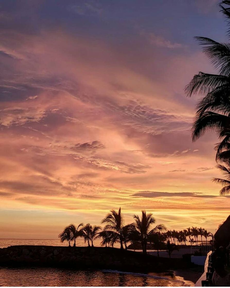 Lugar Meliá Puerto Vallarta