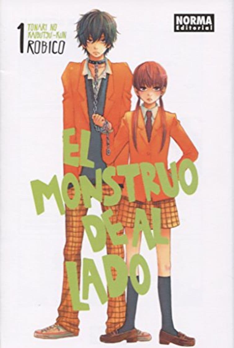 Libro EL MONSTRUO DE AL LADO 01