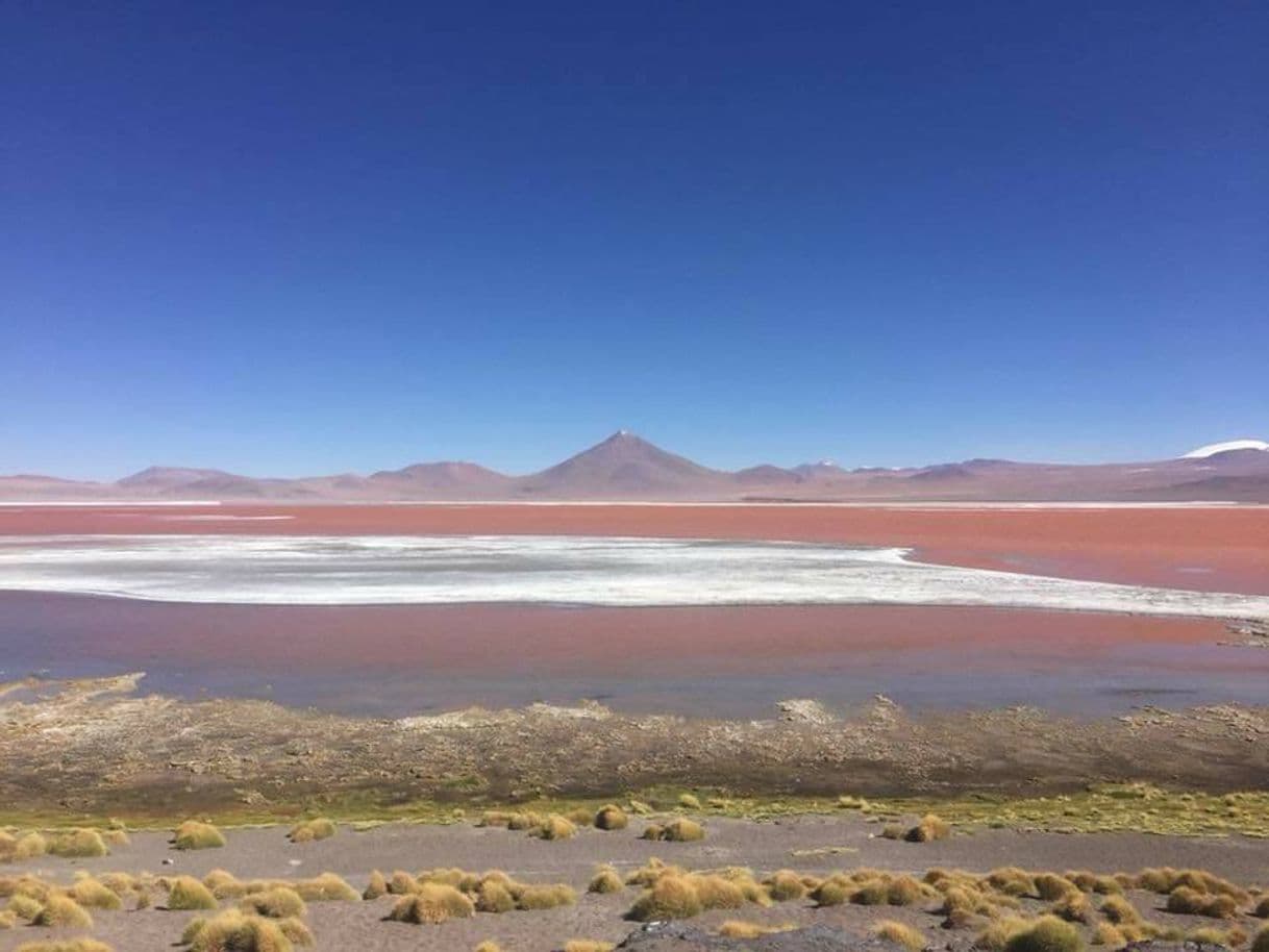 Place Laguna Colorada