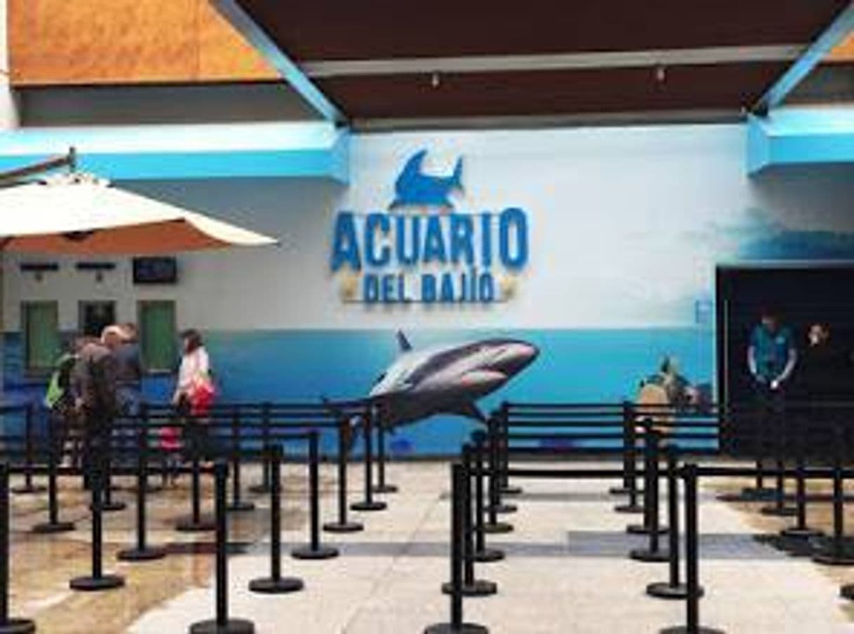 Place Acuario del Bajío