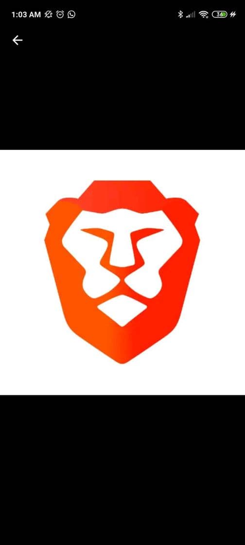 App Brave Browser