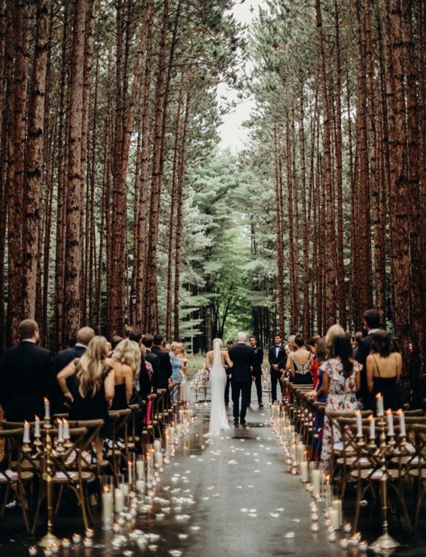 Moda Casamento num bosque 