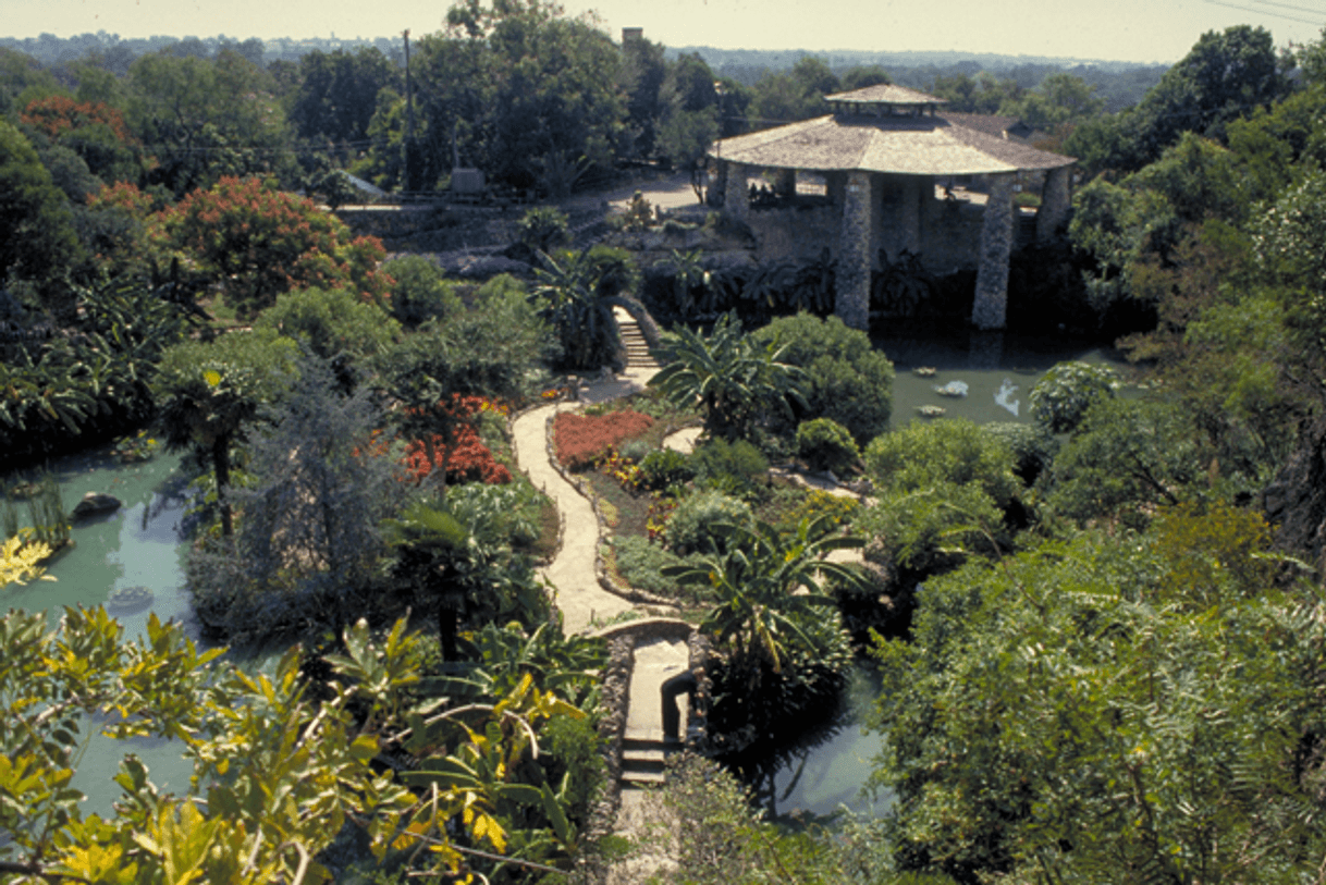 Place Japanese Tea Garden