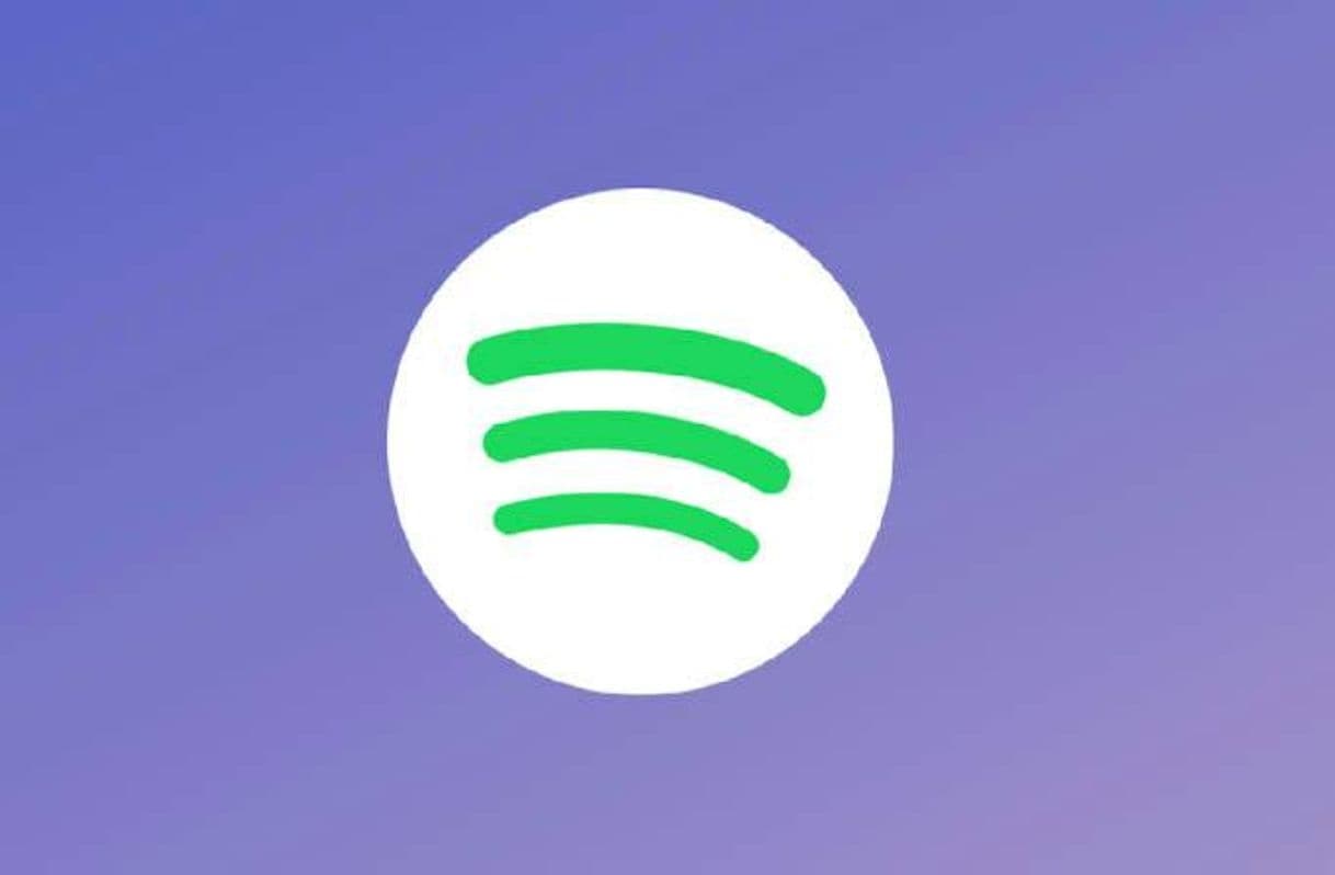 Fashion Spotify Lite 