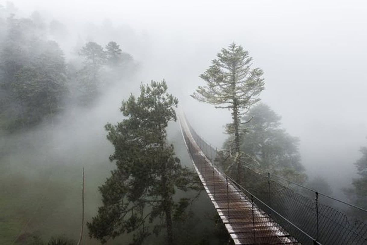 Lugar Sierra Juárez