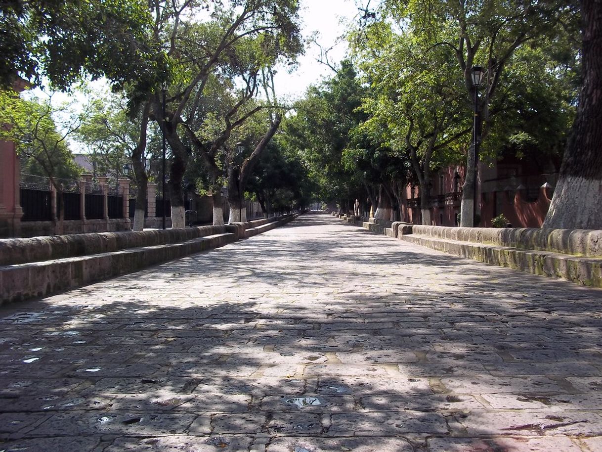 Lugar Calzada Fray Antonio de San Miguel