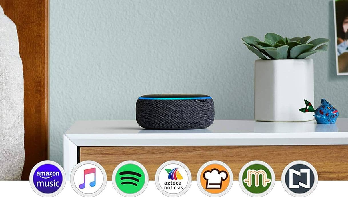 Product Echo Dot