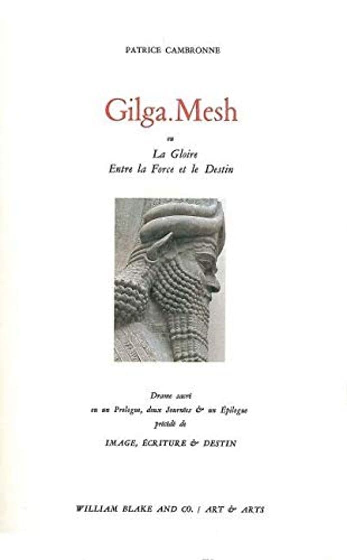 Book Gilga mesh ou la gloire entre la force et le destin