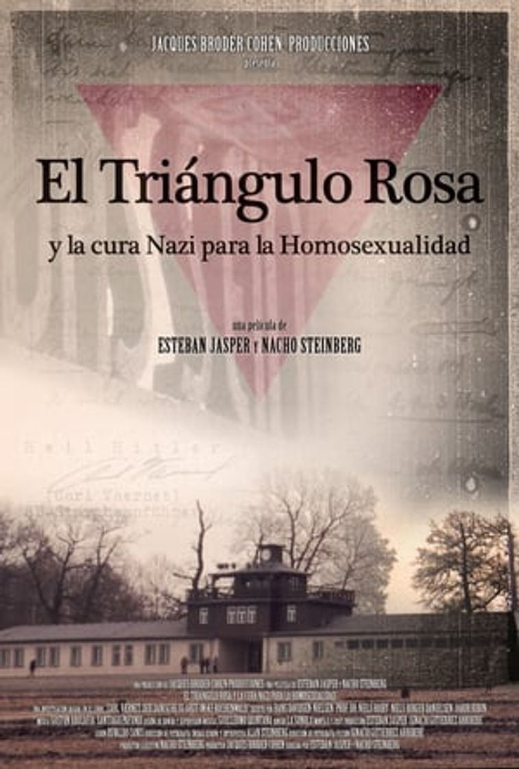 Movie The Pink Triangle and the Nazi Cure for Homosexuality