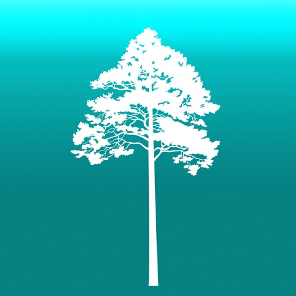 App Arboreal - Tree height