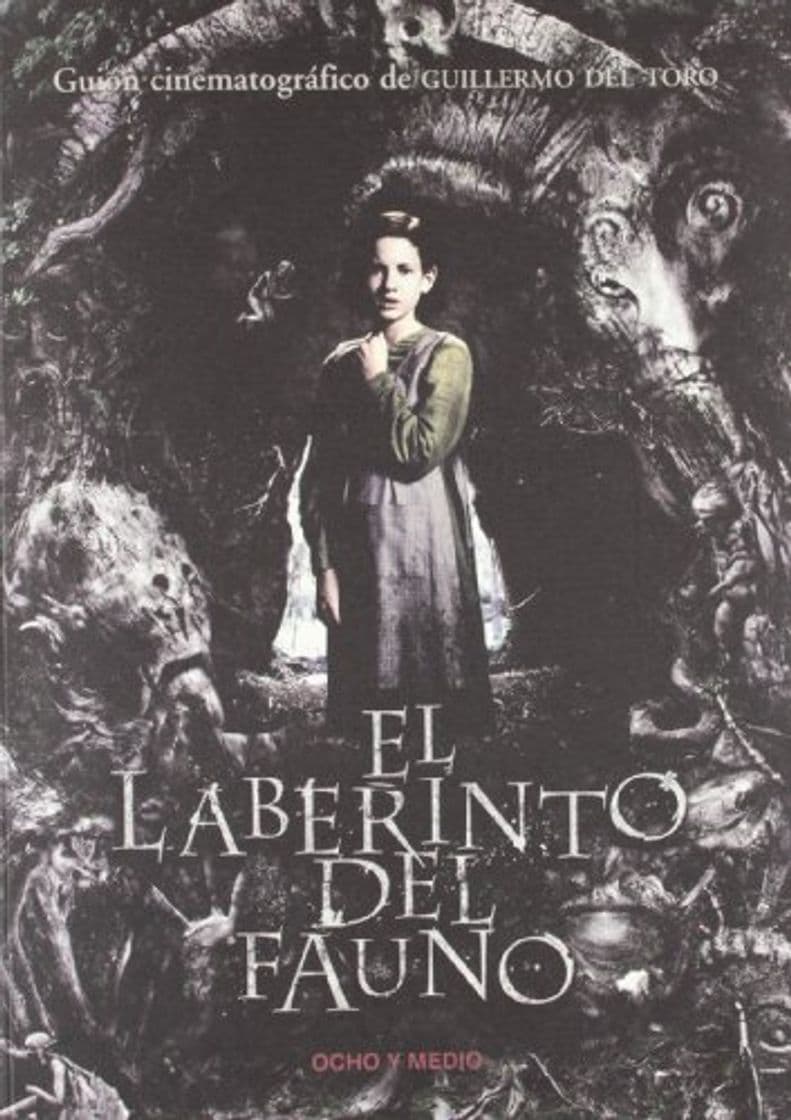 Libro Laberinto Del Fauno,El