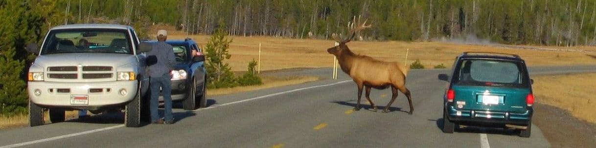 Place Parque Nacional Yellowstone