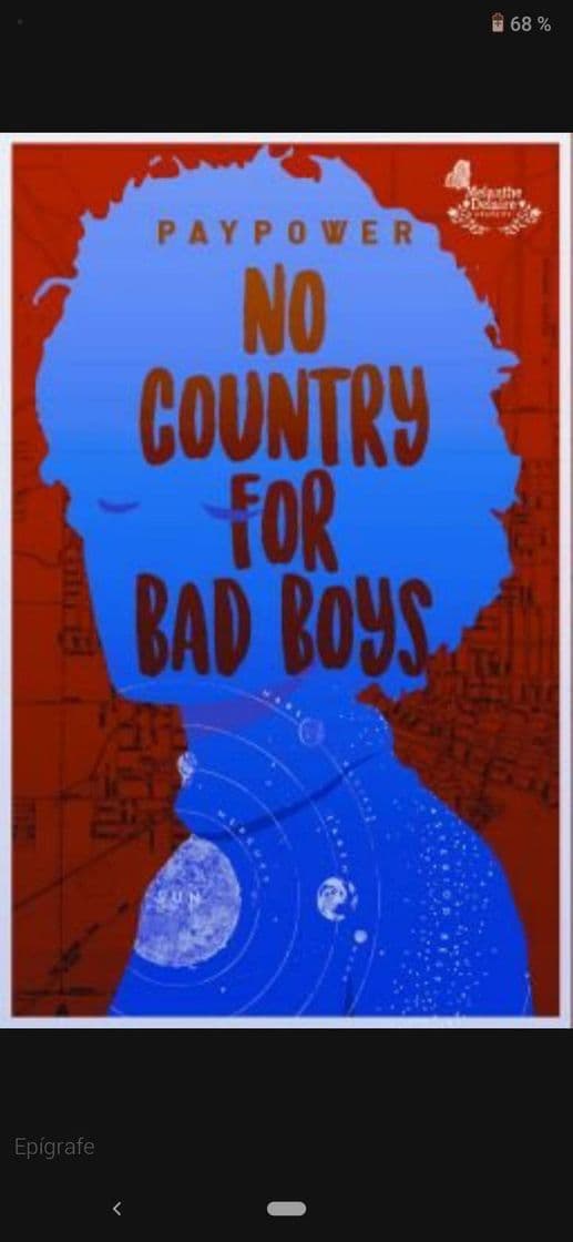 Libro No country for bad boys