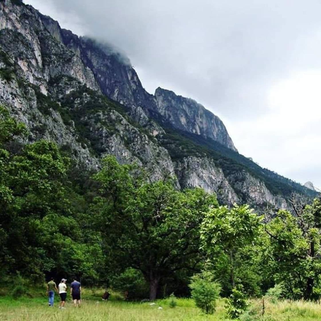 Place Chipinque Ecological Park