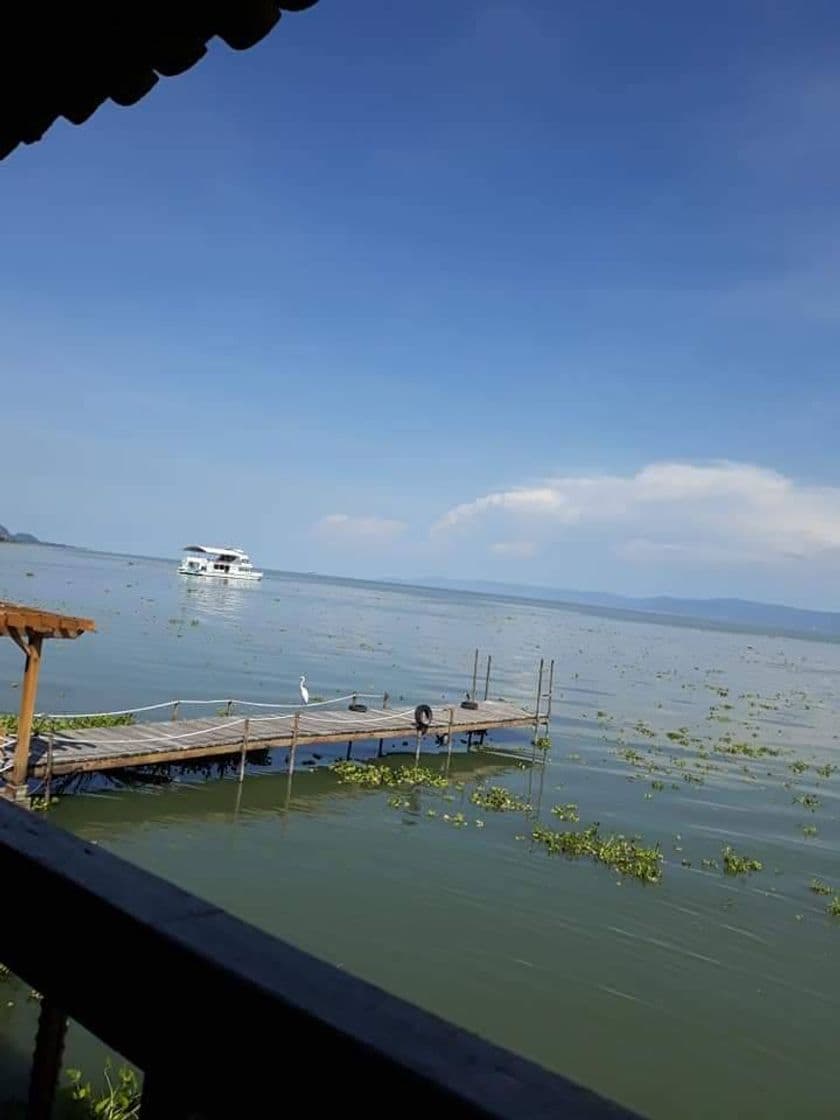 Lugar Lago de Chapala