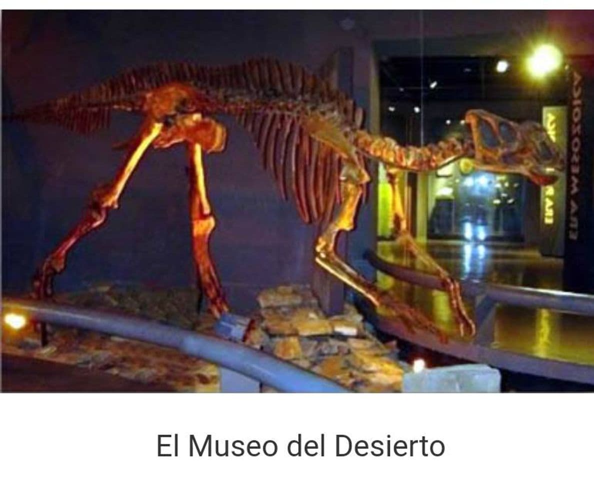 Lugar Museo del Desierto