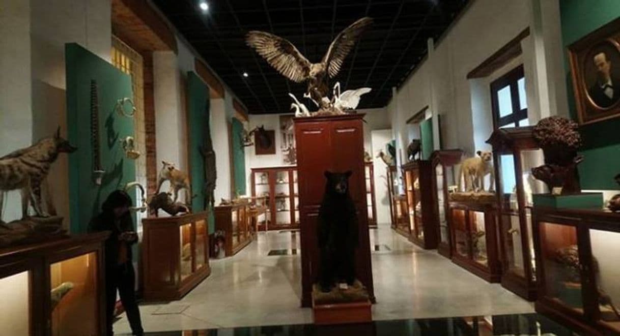 Lugar Museo de Historia Natural