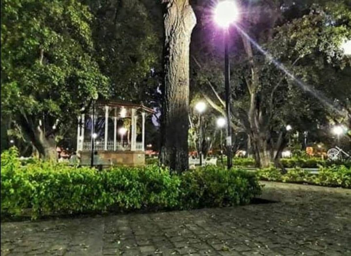 Lugar Alameda