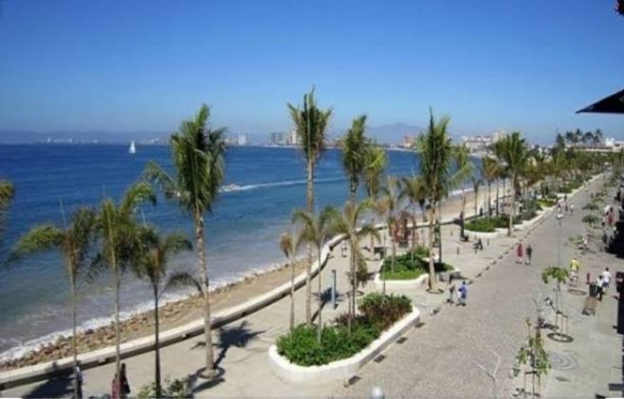 Place Puerto Vallarta