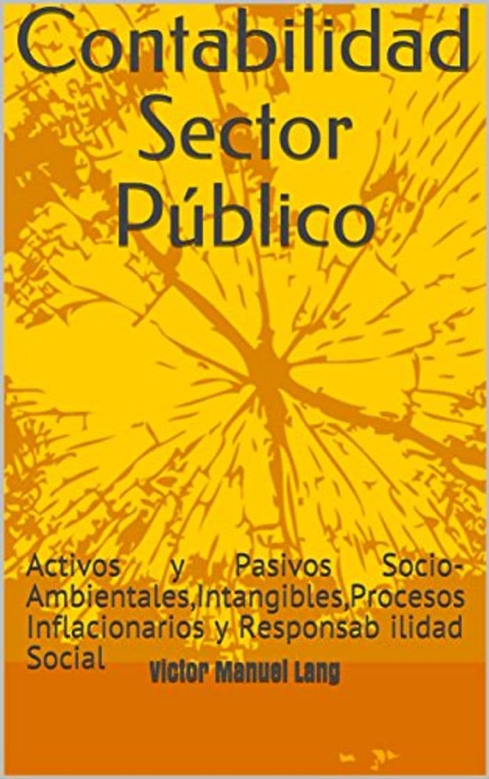 Book Contabilidad Sector Público: Activos y Pasivos Socio