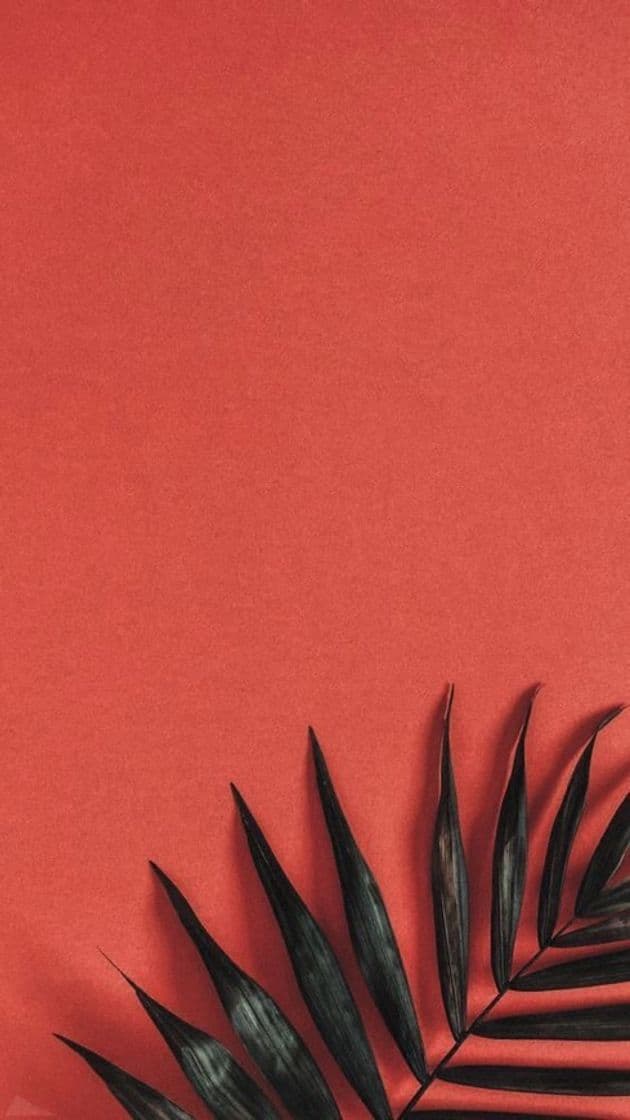 Fashion wallpaper: red 💔