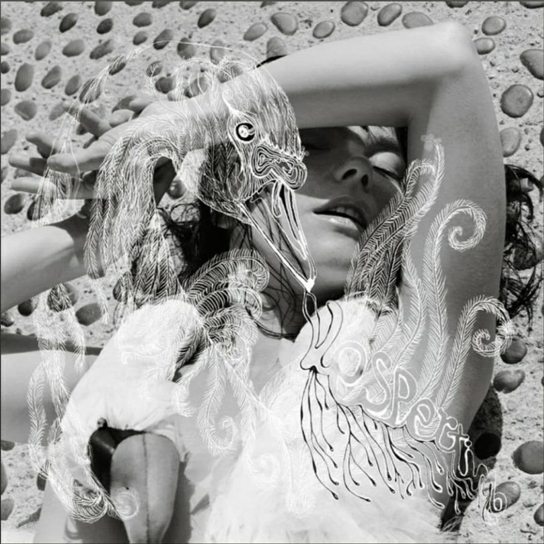 Music Vespertine | Björk