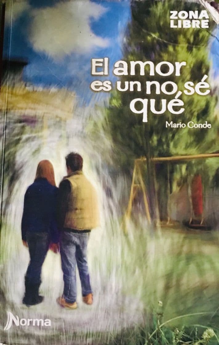 Book El amor es un no sé qué