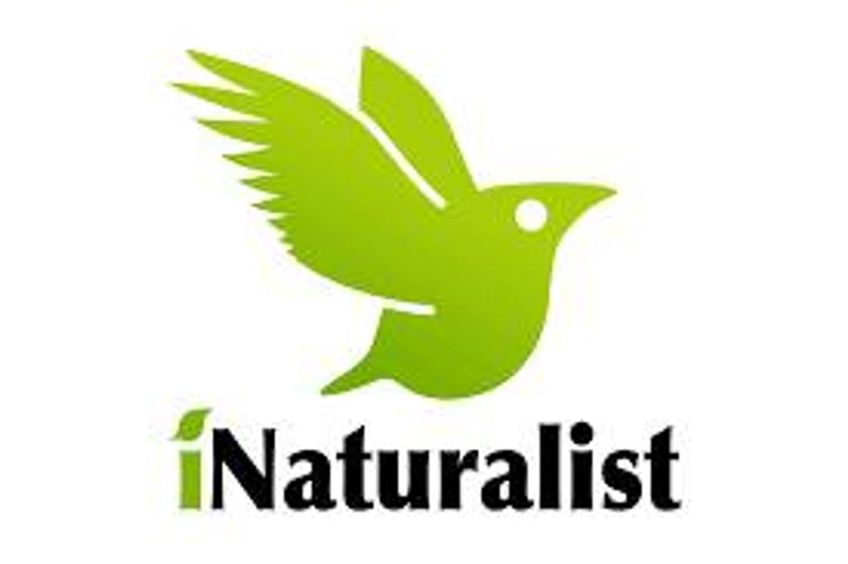 App Naturalista