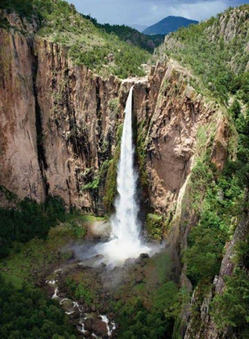 Place Cascada de Basaseachi