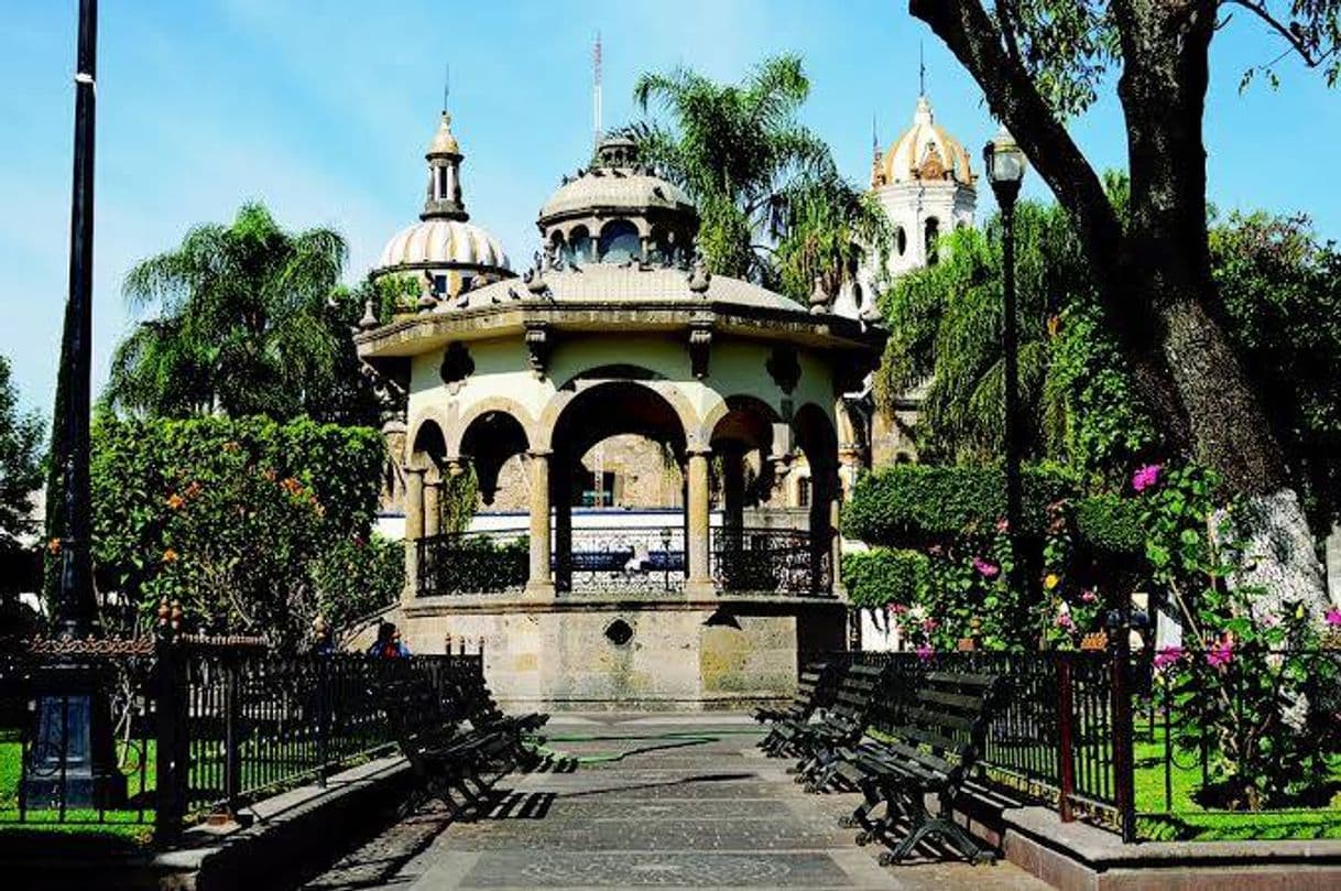 Lugar Jardín Hidalgo