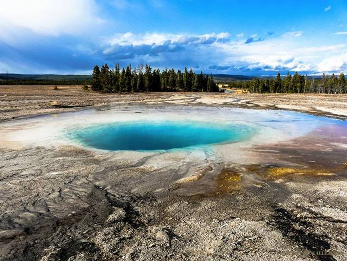 Place Parque Nacional Yellowstone