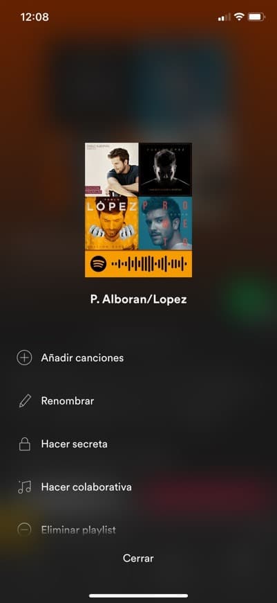 Music Playlist Pablo Alborán y Pablo López 