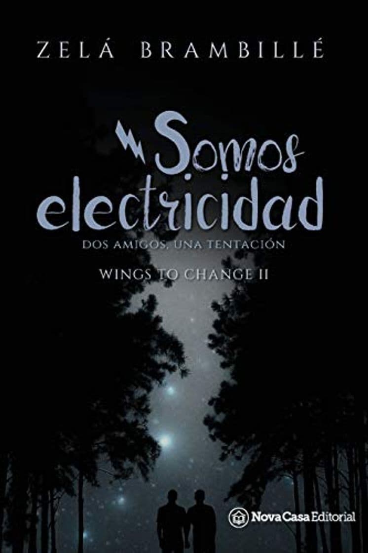 Libro Somos electricidad