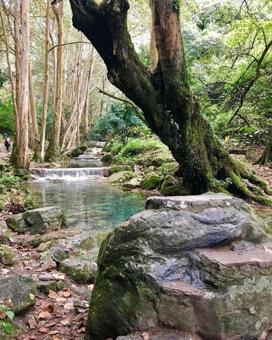 Place Sierra Gorda