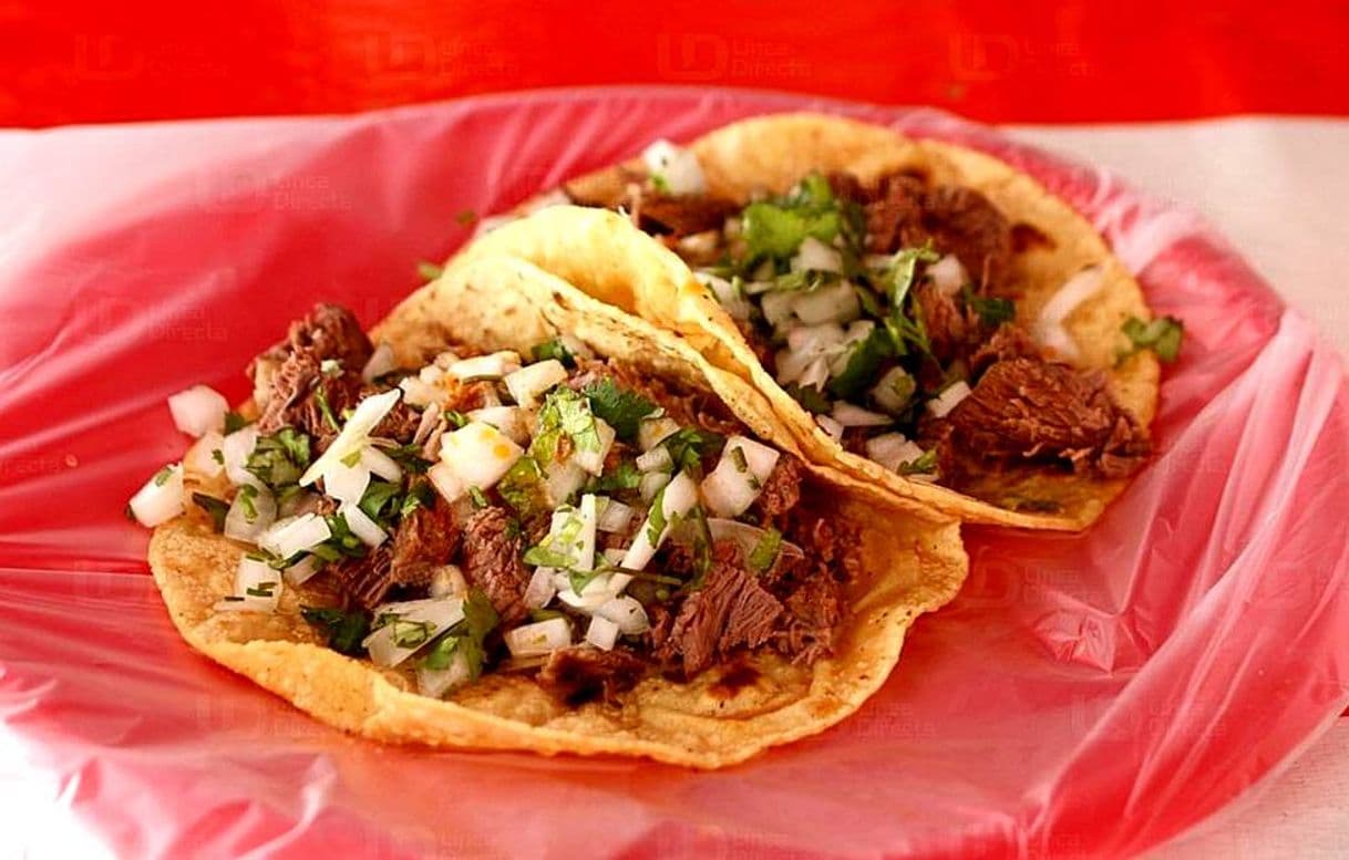 Fashion Tacos mexicanos de birria